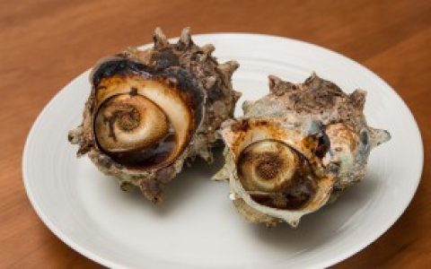 【海螺放冰箱能保存多久】海螺放冰箱能保存的时间