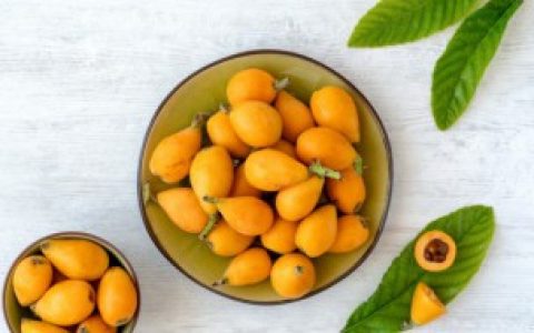 怎么快速剥枇杷 快速剥枇杷的方法