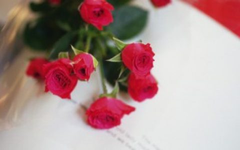 追女生第一次送什么花,追女生第一次适合送的花有哪些