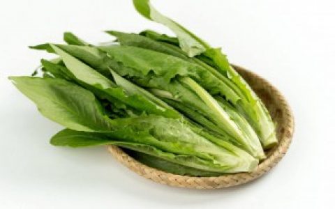 莴笋叶和油麦菜的区别 莴笋叶和油麦菜的区别介绍