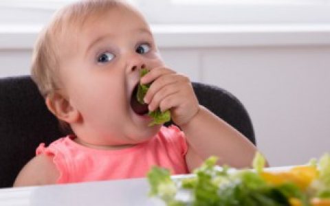 虎宝宝起名大全 虎宝宝起名精选