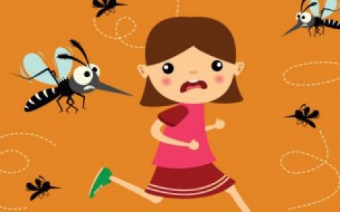 【关于家里灭蚊子最有效的方法】家里灭蚊子最有效的方法