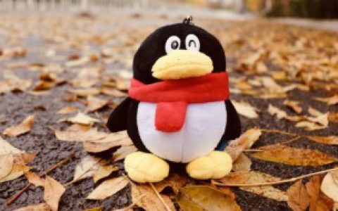 qq消息几分钟内可以撤回 qq消息可以撤回的要求