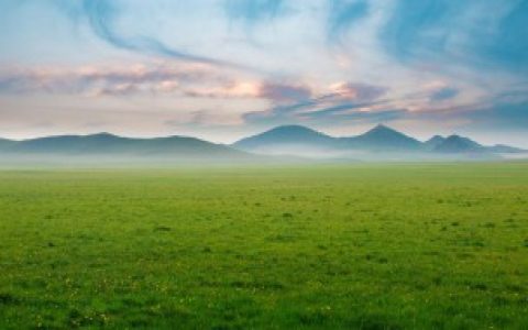 木本植物和草本植物的不同（木本植物和草本植物的区别）