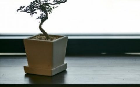 花盆洞如何封不漏水 花盆洞怎样封不漏水