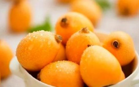 枇杷减肥 枇杷减肥吗