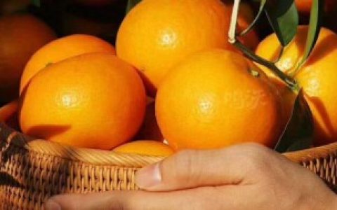 沃柑多了怎样洗 沃柑多了如何洗