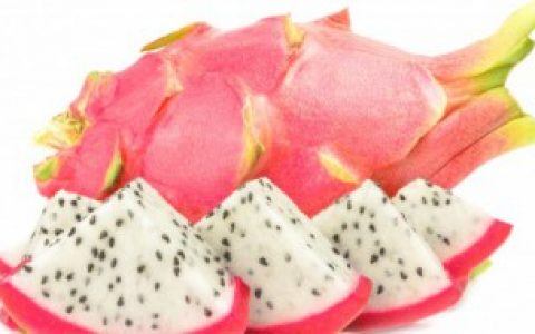 火龙果怎么长出来的 火龙果的成长