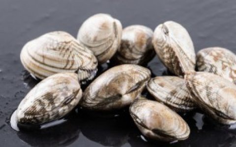 【花甲里面黑色所指】花甲里面黑色的是什么