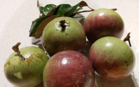 牛奶果是属于什么性质的水果 牛奶果是什么水果