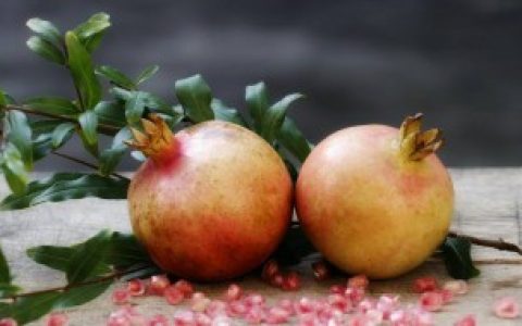 怎么样保存石榴,石榴如何保存