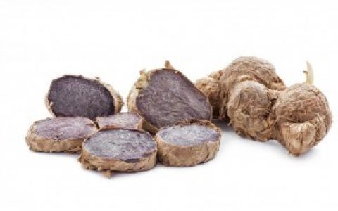 【怎样辨别茯苓和土茯苓】茯苓和土茯苓的区别介绍