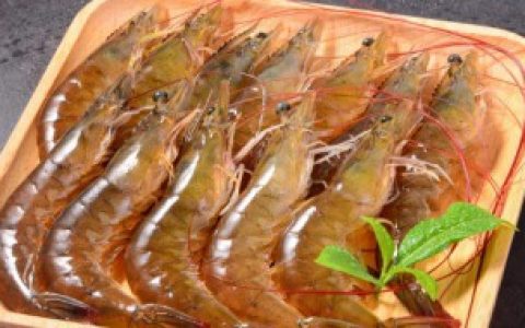 九节虾要怎么保存（九节虾要怎样保存）