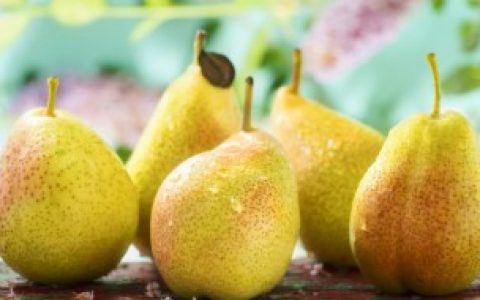 梨树适合的生长地方（梨树适合种在什么地方生长）