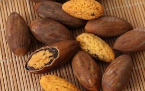 香榧什么样的好 啥样的香榧比较好