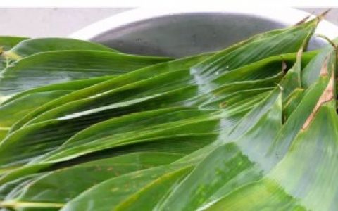 新鲜粽叶怎么处理 新鲜粽叶如何处理