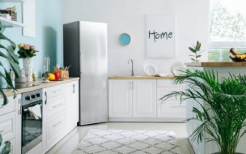 去除冰箱噪音有什么方法,去除冰箱噪音的小窍门