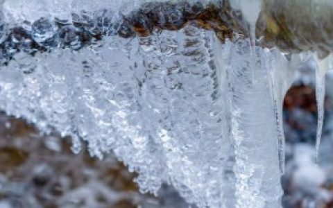 【什么是霜冻】霜冻是什么