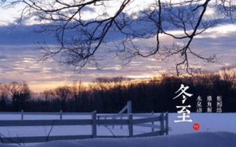 冬至三候介绍（冬至三候介绍是什么）