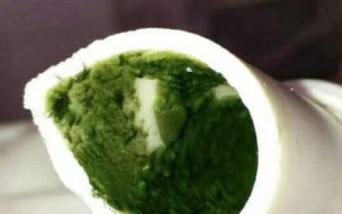 水管长青苔怎样处理 水管长青苔如何处理