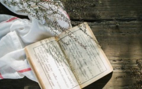 拉菲草什么梗,拉菲草解释