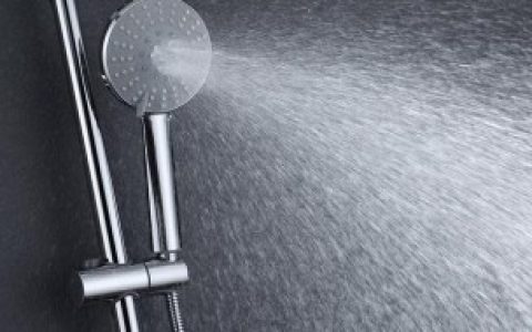淋浴器花洒应该怎么清洗（淋浴器花洒清洗方法）