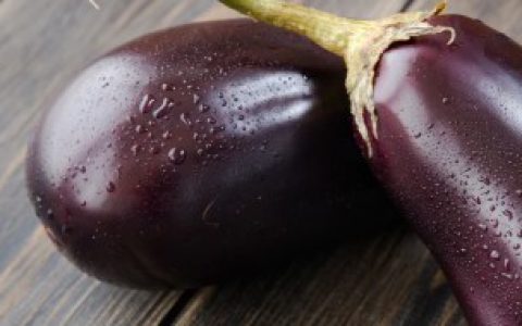 盆栽茄子的种植方法和管理 盆栽茄子的种植方法有什么