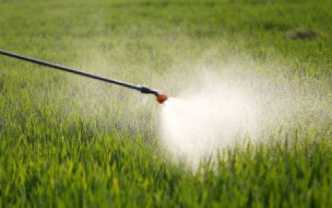 除草剂下雨前可不可以打,除草剂下雨前能打吗