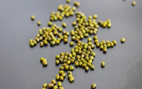 【绿豆代表什么象征意义】绿豆的相关介绍