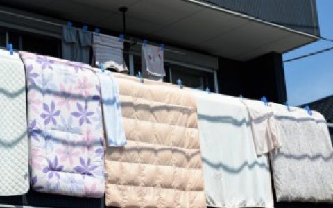 被子发霉了怎么洗掉有霉斑 被子发霉了如何洗掉有霉斑