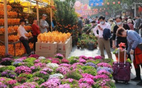 花买回来了怎么养活 花买回来了怎么养活的方法