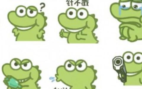 抹茶旦旦指的是什么,抹茶旦旦是什么动物