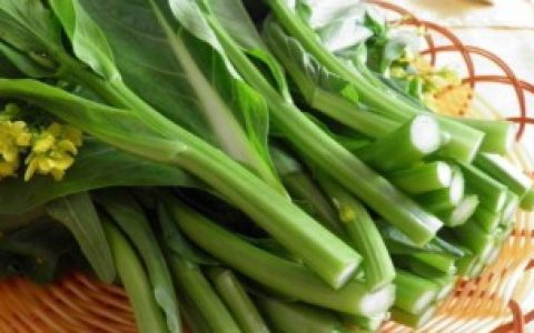 菜心如何种植（菜心怎么种）