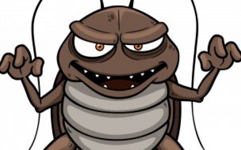 怎么办柜子里面有蟑螂,柜子里面有蟑螂怎么办