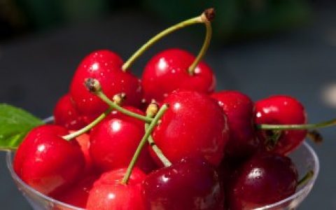 樱桃保鲜方法,樱桃保鲜方法有什么