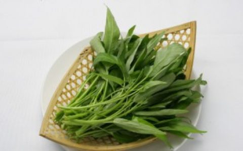 空心菜种子如何催芽 空心菜种子怎么催芽