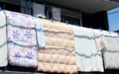 羽绒被怎么洗最好（羽绒被清洗方法）