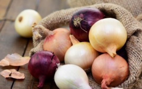 洋葱如何水培养殖（洋葱怎么水培养殖方法）