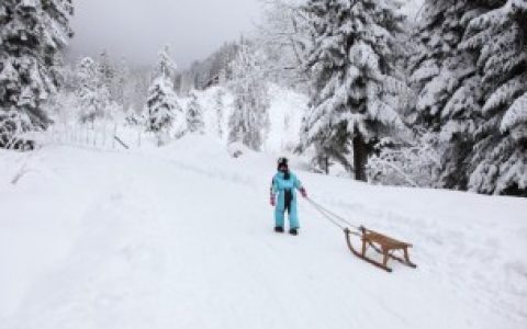 梦下雪代表着什么（梦倒下雪代表的意思）