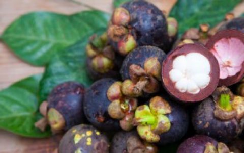 怎么贮存山竹 如何保存山竹