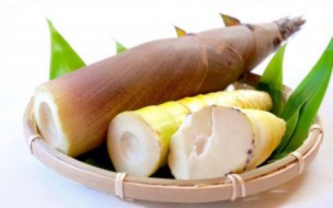 毛竹笋什么季节能挖到 挖毛竹笋的季节是什么时候