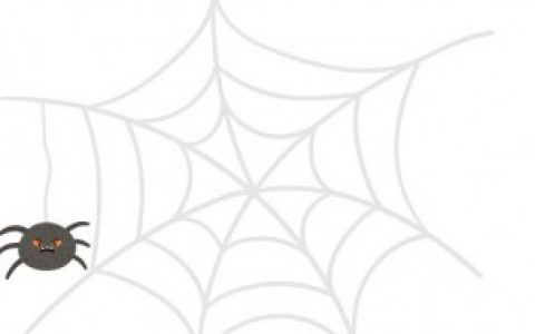 【如何驱赶家里的蜘蛛】怎么驱赶家里的蜘蛛