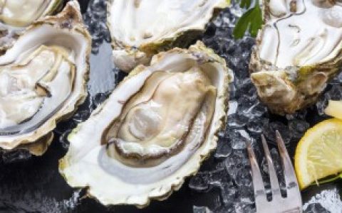 生蚝怎样保存时间长 生蚝的保存方法