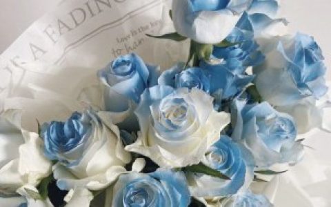 冰蓝玫瑰寓意 冰蓝色玫瑰花语是什么