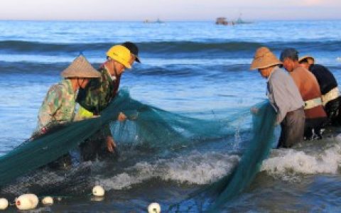 【女人梦见鱼是什么意思】女人梦见鱼的意思