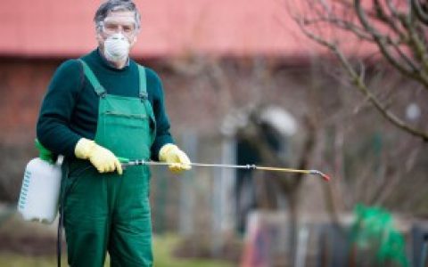 【家里有垃圾虫如何处理】家里有垃圾虫怎么处理