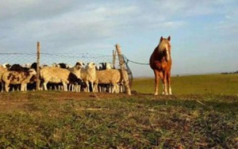 【漠北是现在的什么省份】漠北是现在的哪个省份