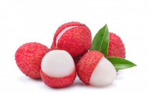 荔枝种子发芽了怎么种 荔枝种子发芽了如何种