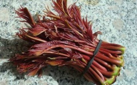 吃什么寓意什么 吃什么食物寓意好