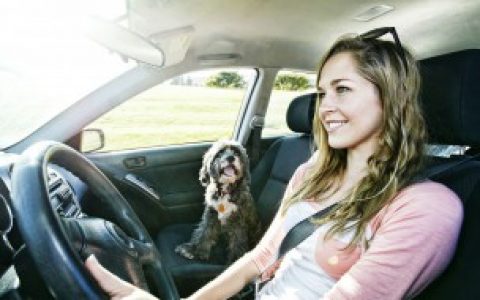 汽车轮心轴承坏没坏怎么判断 汽车轮心轴承坏没坏如何判断